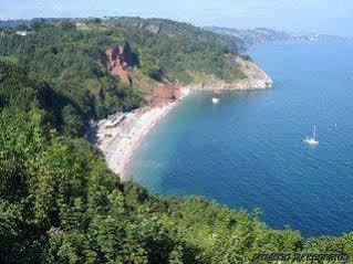 Aveland House Babbacombe Otel Torquay Dış mekan fotoğraf